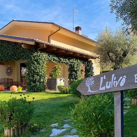L' Ulivo Bed & Breakfast Teramo Buitenkant foto