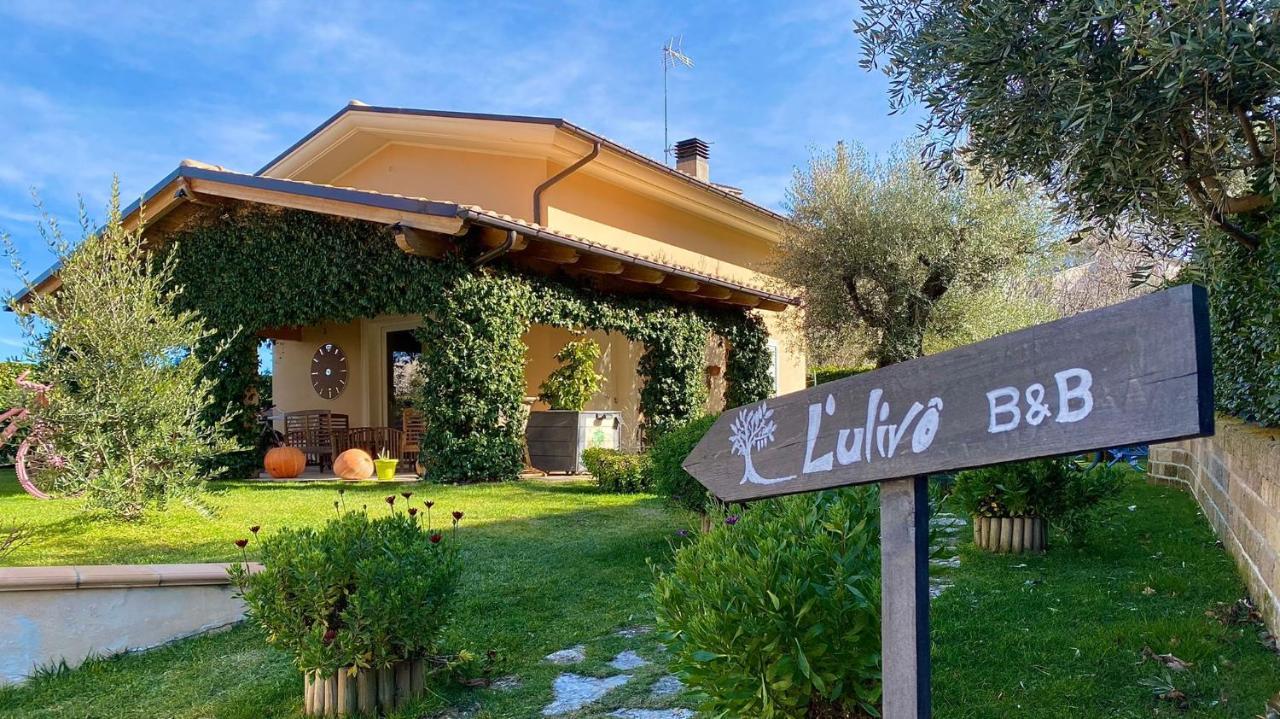 L' Ulivo Bed & Breakfast Teramo Buitenkant foto