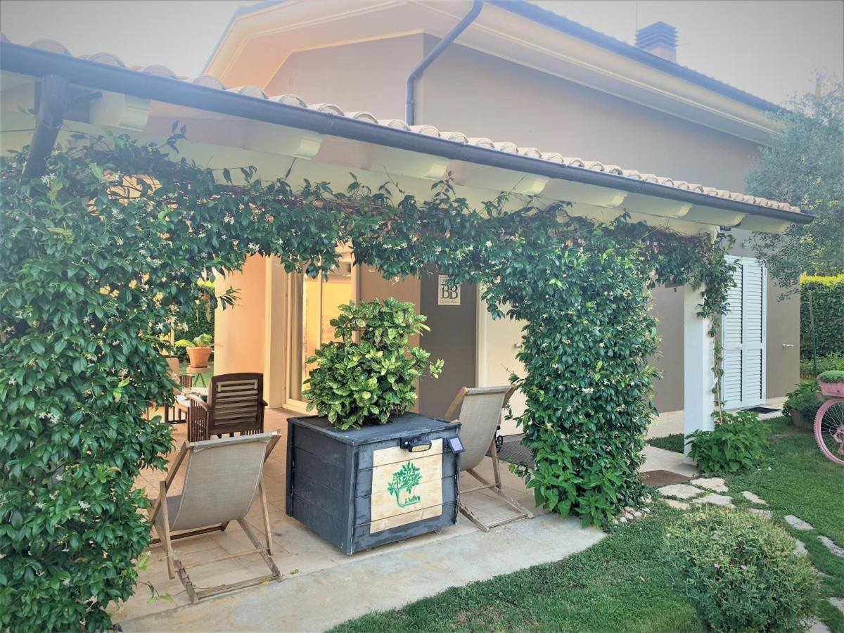 L' Ulivo Bed & Breakfast Teramo Buitenkant foto