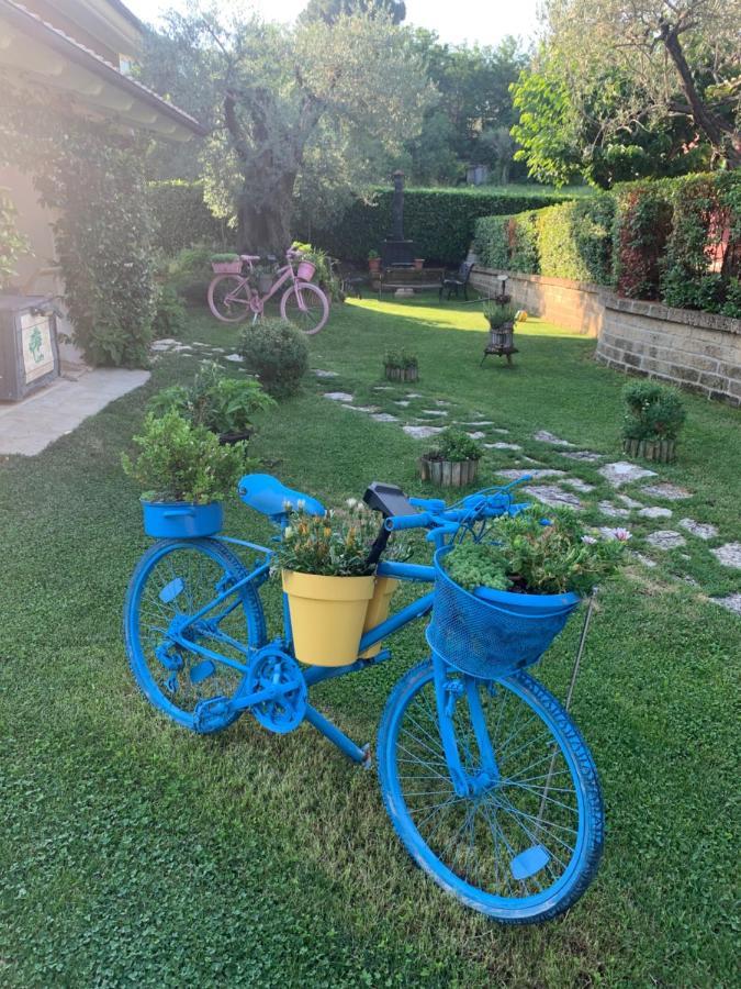 L' Ulivo Bed & Breakfast Teramo Buitenkant foto